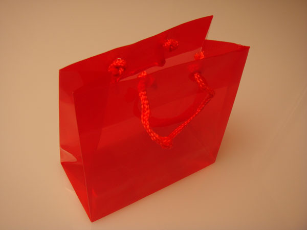 Geschenktaschen 22x7,6x27cm mit Trageschnüren (10 Stück) [G8RD1]