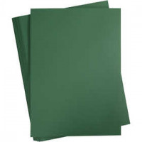 Karton, farbig, A2 420x600 mm,  180 g, Tannengrün, 100Bl. [HOB-21324]