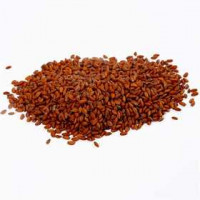 Kressesamen, 50g [HOB-23345]