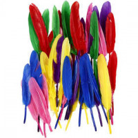Federn, L 13 cm, Sortierte Farben, 48sort. [HOB-51817]