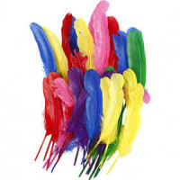 Federn, L 20 cm, Sortierte Farben, 36sort. [HOB-51818]