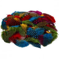Perlhuhnfedern, Sortierte Farben, 50g [HOB-51823]