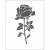 Präge-Schablone, Größe 11x14 cm, Stärke: 2 mm, Rose, 1Stck [HOB-11765]