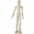 Gliederpuppe, H 30 cm, Mann, 1Stck [HOB-22160]