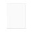 Flachbeutel 62,1x77cm OPP Transparent (100 Stück) [B2430NF]
