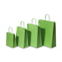 Papiertragetaschen Grün 18+8x22cm Kraft 90 Gramm (50 Stück) [PAM1822GR]