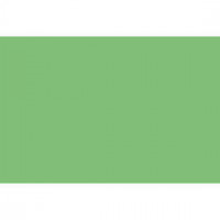 Dekorationskarton, Blatt 460x640 mm,  210-220 g, Grasgrün, 25Bl. [HOB-22823]