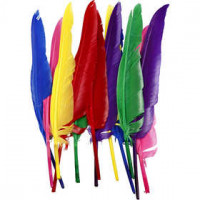 Federn, L 27 cm, Sortierte Farben, 12sort. [HOB-51819]