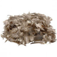 Perlhuhnfedern, Natur, 50g [HOB-51822]