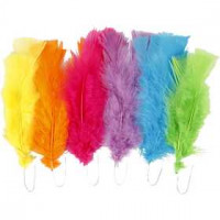 Federn, L 11-17 cm, sortierte Farben, Kräftige Farben, 18Bündl. [HOB-518460]