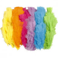 Federn, L 11-17 cm, sortierte Farben, Kräftige Farben, 144Bündl. [HOB-51846]
