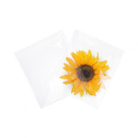 Flachbeutel 21,4x21cm OPP Transparent (100 Stück) [B8X8NF]
