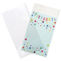 Plastikbeutel 14x26cm laminiert und kein Umschlag (100 Stück) [LB510NF]