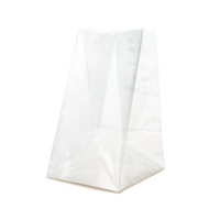 Blockbodenbeutel 10,2x10,2x17,8cm mit Bodenblatt (100 Stück) [FGPBH9]