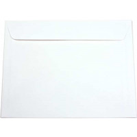 Umschläge Leinen Weiß 10,5x24,1cm (50 Stück) [E2L0]