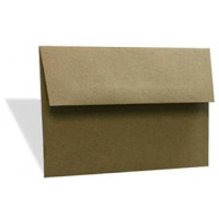 Umschläge Braun 22,2x14,6cm (50 Stück) [EB40]