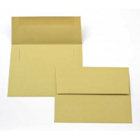 Umschläge Gold/Grün 22,2x14,6cm (50 Stück) [EC411]