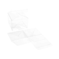 Klarsichtschachteln 10,2x10,2x7,6 mm Kristallklar mit Automatikboden (25 Stück) [PLB333]